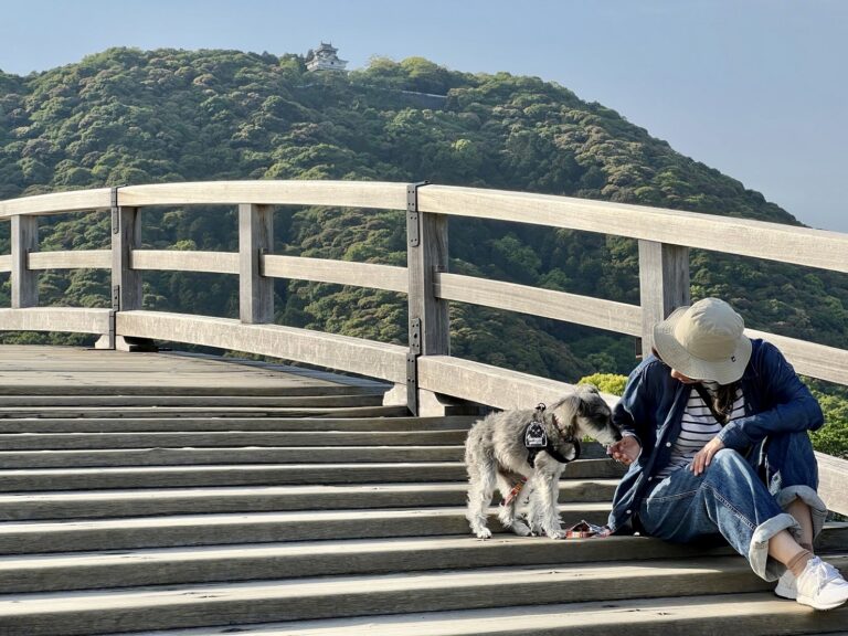 山口 県 犬 と 遊べる 場所